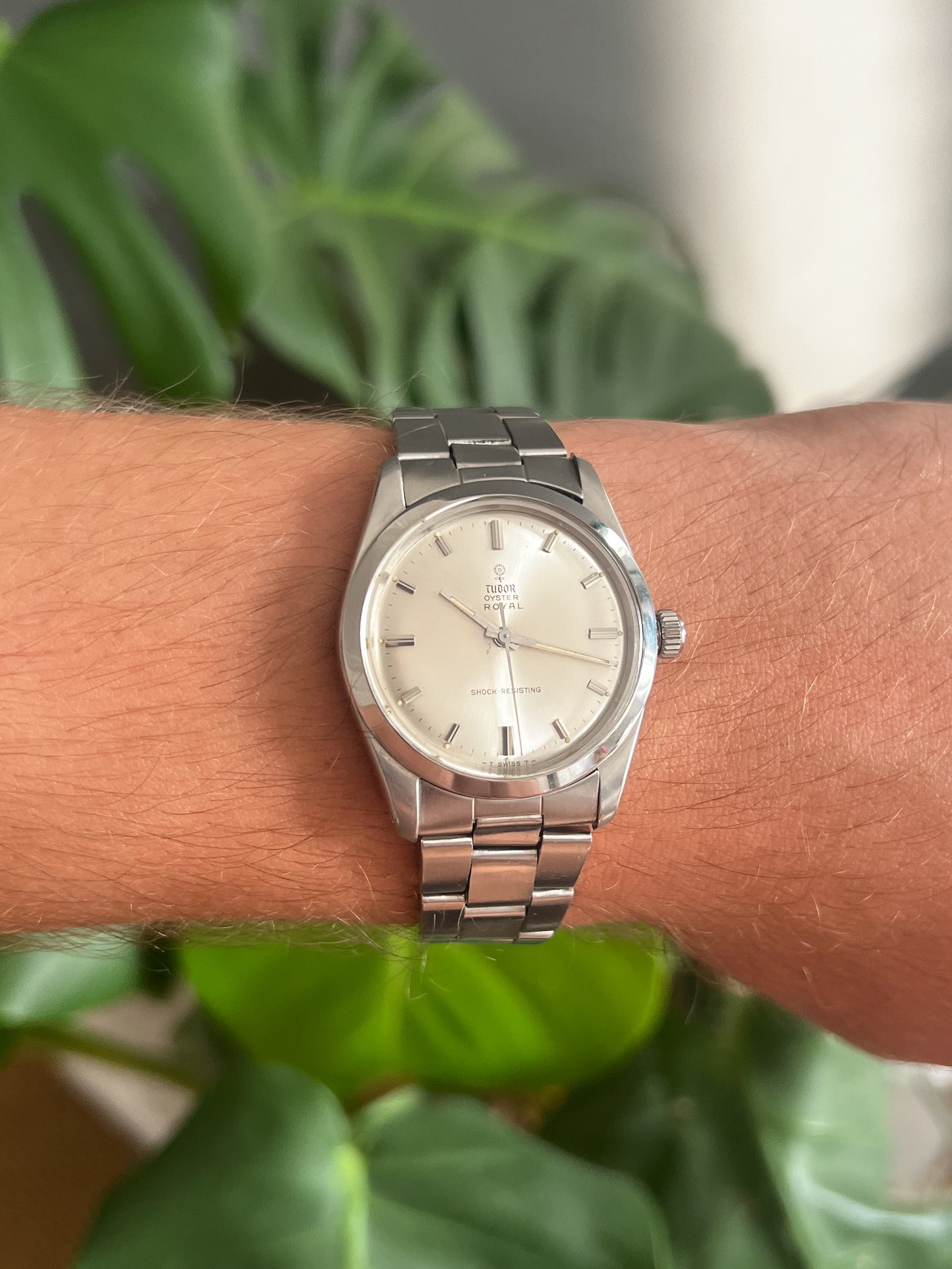 Tudor Oyster Royal Ref. 7984