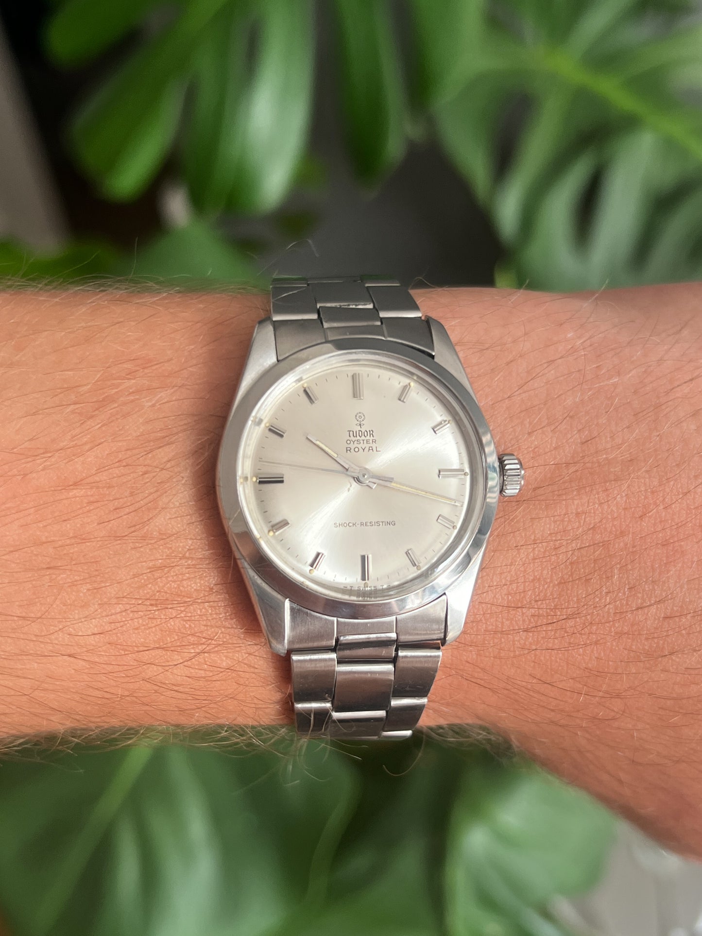 Tudor Oyster Royal Ref. 7984