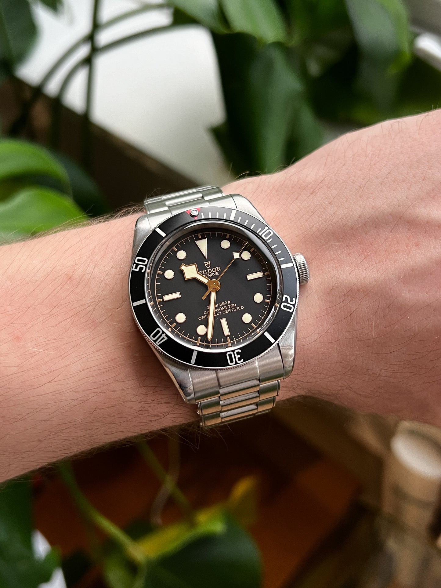 Tudor Black Bay Heritage Ref. 79230N